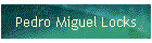 Pedro Miguel Locks