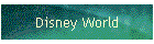 Disney World