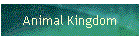 Animal Kingdom