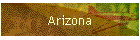 Arizona