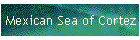 Mexican Sea of Cortez