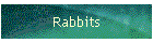 Rabbits