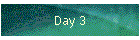 Day 3