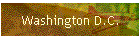 Washington D.C.