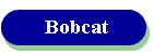 Bobcat