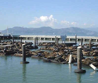 Alcatraz_05.jpg (31045 bytes)