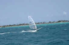 Surfing