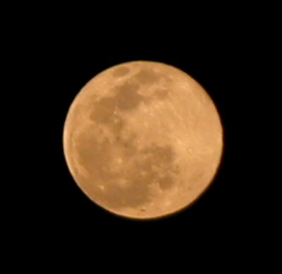 Click for 5 megapixel image