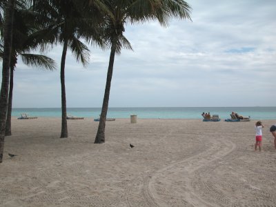 Click for 5 megapixel image