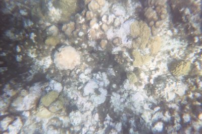 Click for 1536 by 1024 image