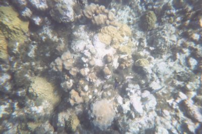 Click for 1536 by 1024 image