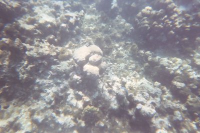 Click for 1536 by 1024 image