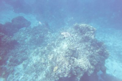 Click for 1536 by 1024 image