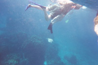 Click for 1536 by 1024 image