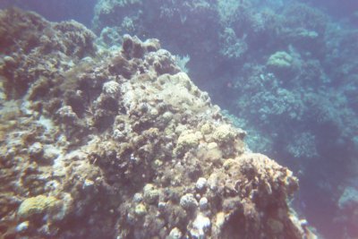 Click for 1536 by 1024 image