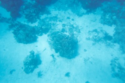 Click for 1536 by 1024 image