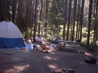 Camp Site