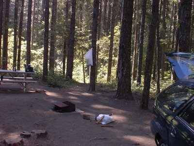 Camp Site
