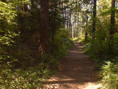 Hiking Trail