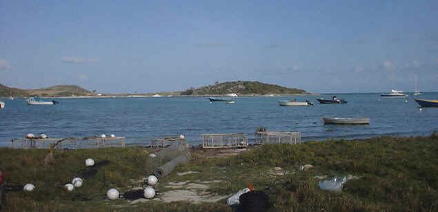 Overlooking St Maarten