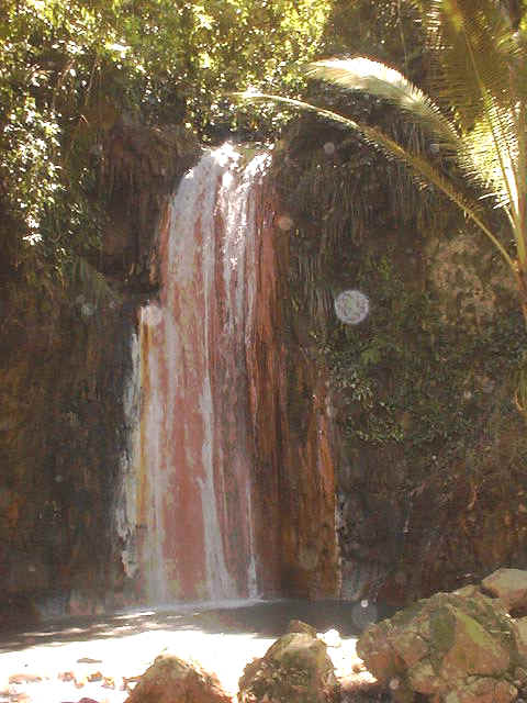 Mar09_14.jpg (77578 bytes)