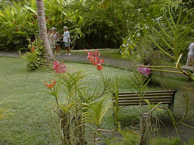 Garden 5