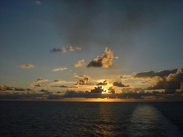 Mar09_49.jpg (47448 bytes)