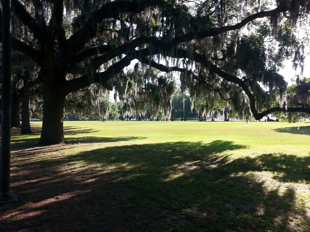 Spring in Savannah