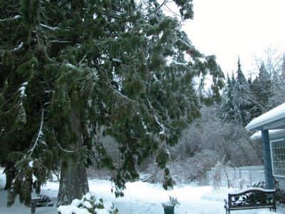 Front side of the house