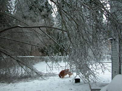 Other view of slider