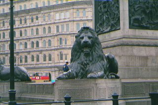 lion.jpg (139087 bytes)