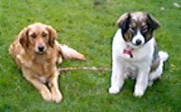 Sam and Molly
