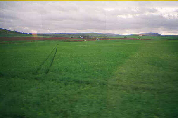 scotland.jpg (41846 bytes)