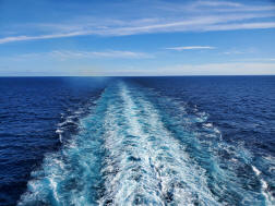 Discovery Princess